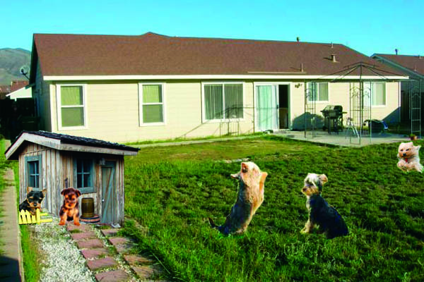 Diseño de Photoshop por krystle508 para DesignCrowd (Community Contests) | Diseño #8949324