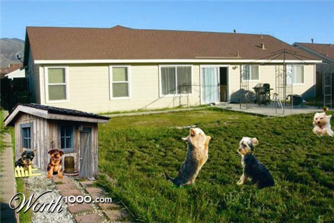 Photoshop Design by krystle508