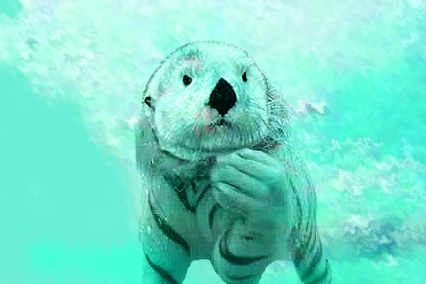 Diseño de Photoshop por krystle508 para DesignCrowd (Community Contests) | Diseño #8948876