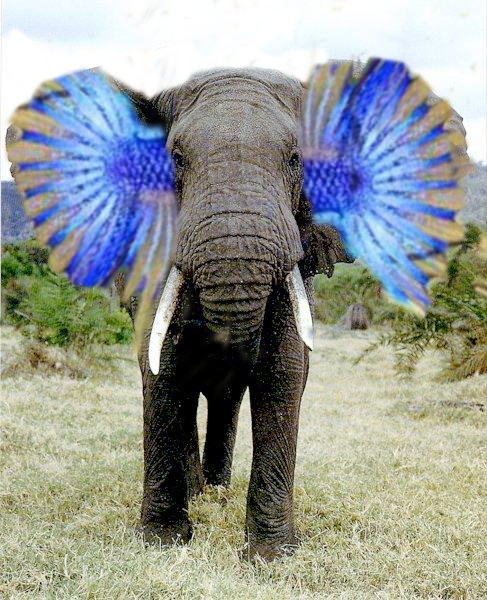 Diseño de Photoshop por JustinGill para DesignCrowd (Community Contests) | Diseño #8948831