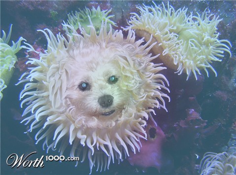 Photoshop Design by kwize53