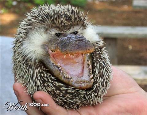 Photoshop Design by oruart