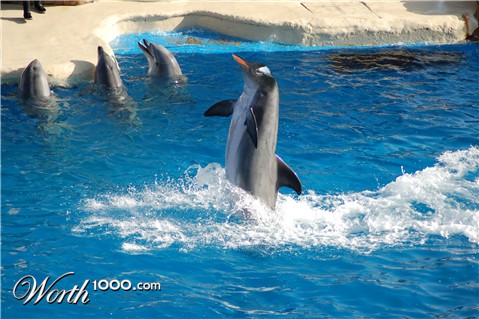 Photoshop Design by Kal2004