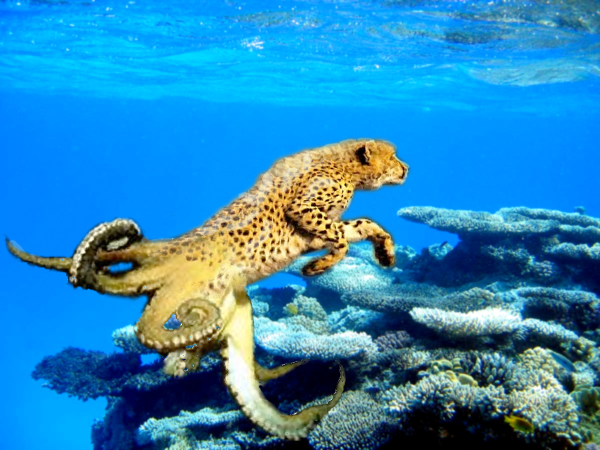 Photoshop Design by maddiemay for DesignCrowd (Community Contests) | Design #8948917