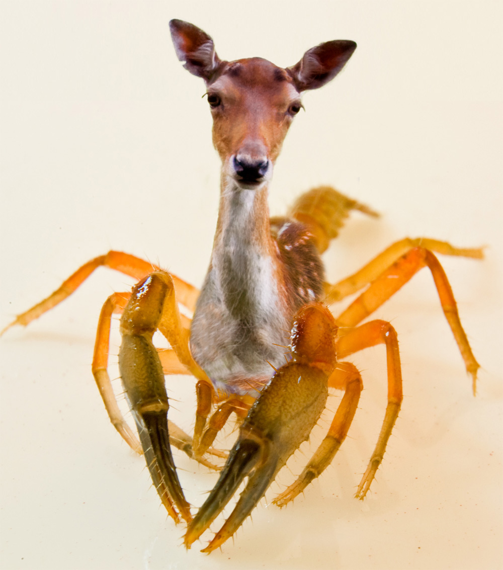 Design Photoshop par stormr pour DesignCrowd (Community Contests) | Design #8948889