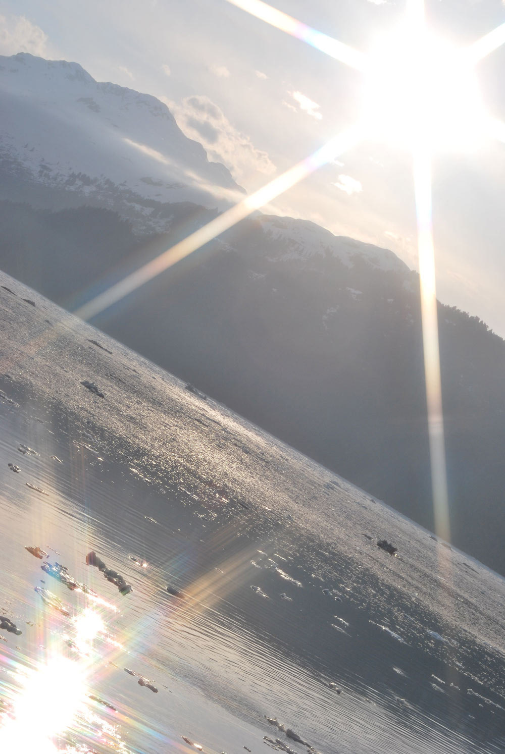 Photography by GeNUMS for DesignCrowd (Community Contests) | Design #8945353