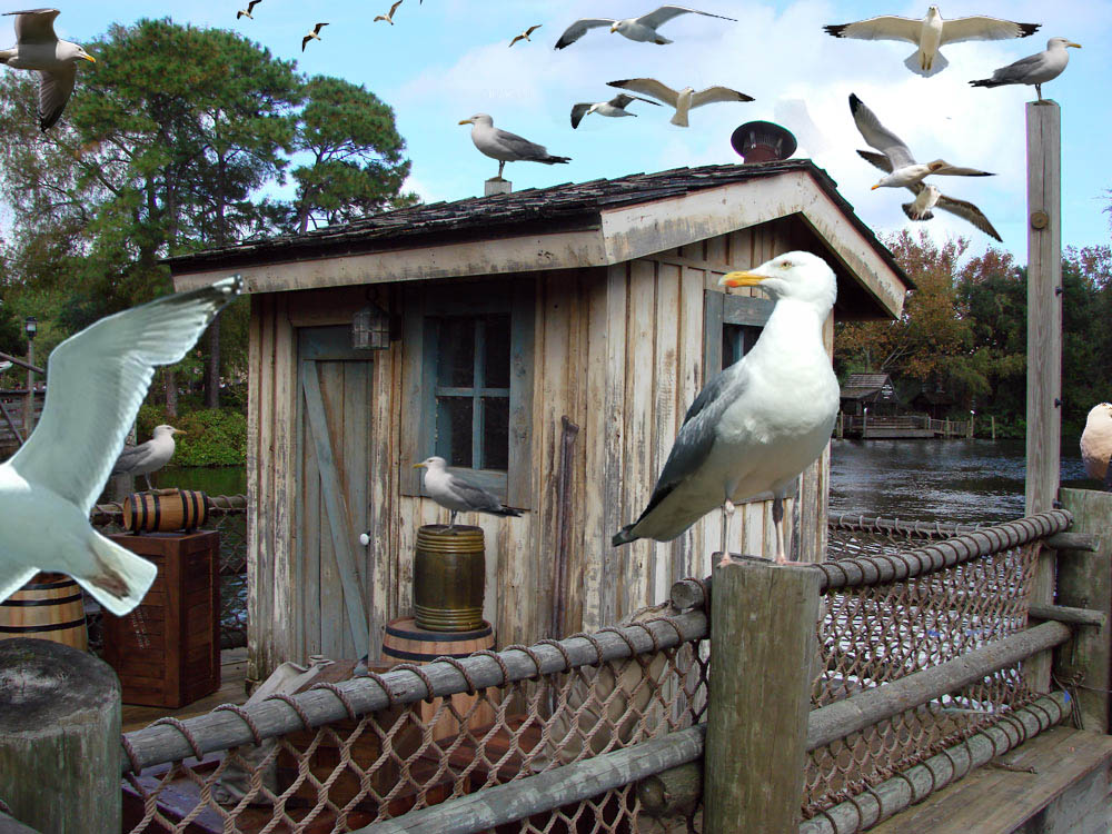 Photoshop Design by userkuba for DesignCrowd (Community Contests) | Design #8949357