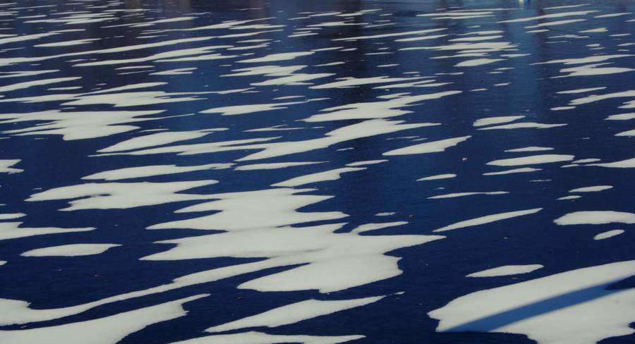 Fotografía por rebeccatroy para DesignCrowd (Community Contests) | Diseño #8945295