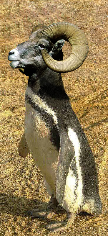 Photoshop Design by mauroabregu for DesignCrowd (Community Contests) | Design #8948866