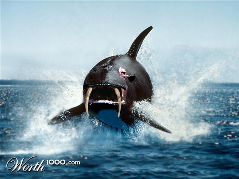 Photoshop Design by allstate