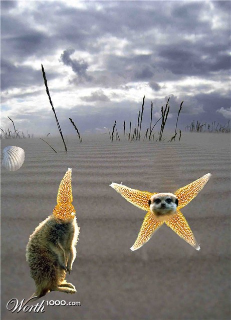 Photoshop Design by earane