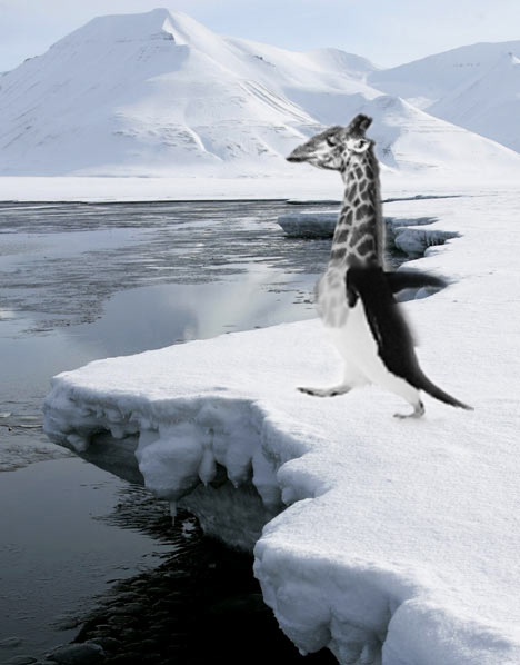 Photoshop-Design von shaywins für DesignCrowd (Community Contests) | Design #8948910