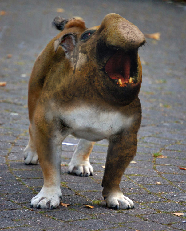 Photoshop Design by 1passible for DesignCrowd (Community Contests) | Design #8948879