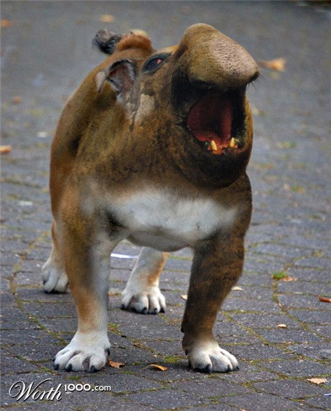 Photoshop Design by 1passible