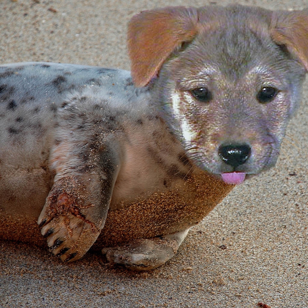 Photoshop Design by firest for DesignCrowd (Community Contests) | Design #8948820