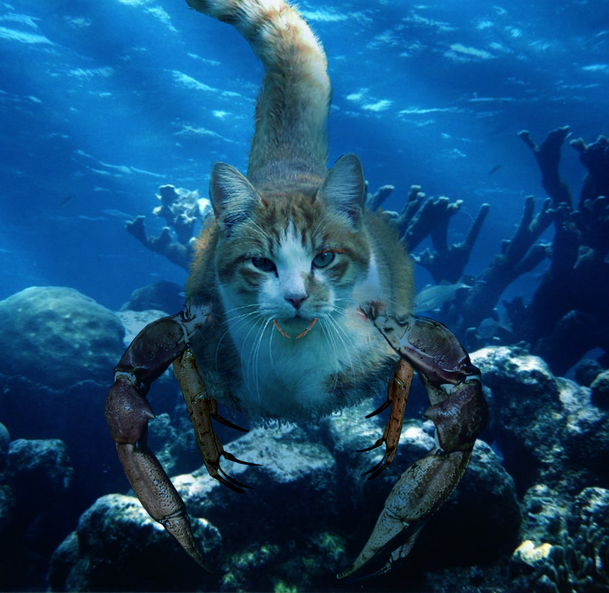 Photoshop Design by EKelman for DesignCrowd (Community Contests) | Design #8948844