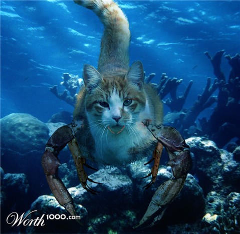 Photoshop Design by EKelman