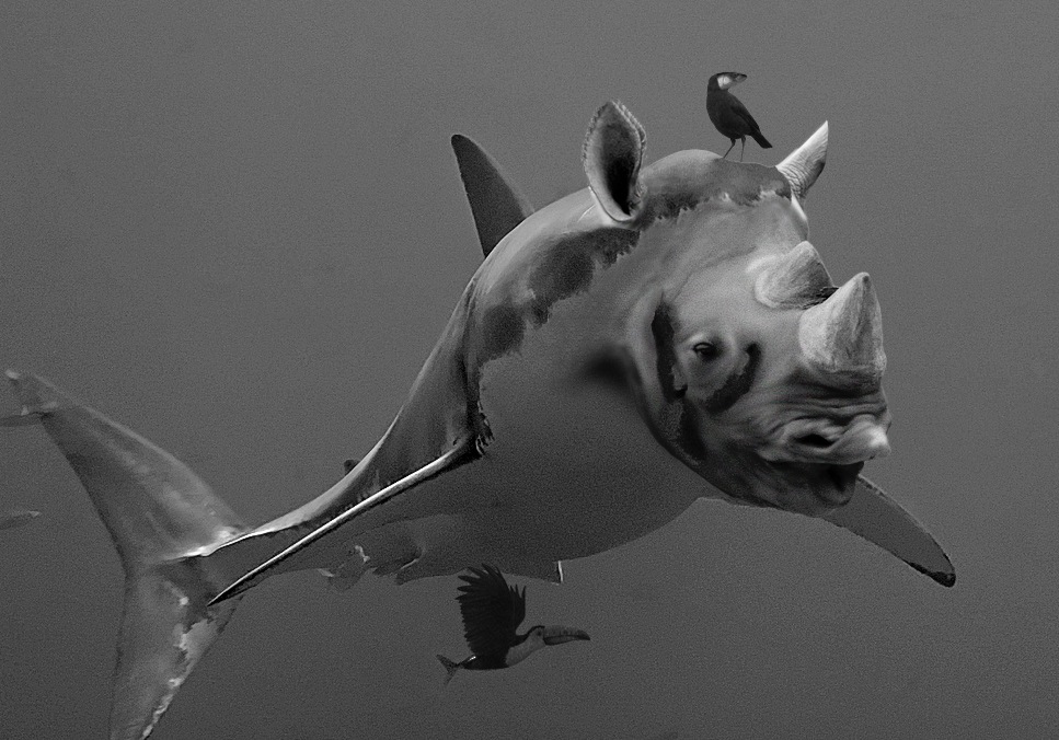 Photoshop Design by styleovercontent for DesignCrowd (Community Contests) | Design #8948857