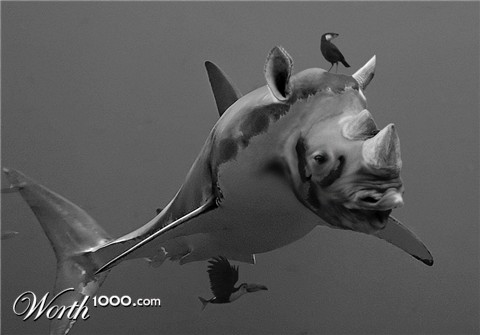 Photoshop Design by styleovercontent