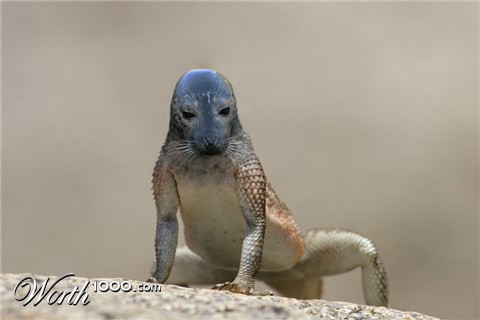 Photoshop Design by Quidebie