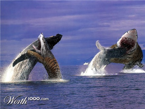 Photoshop Design by jose1012
