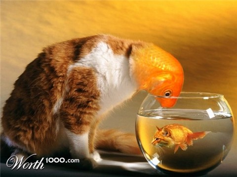 Photoshop Design by rotocub