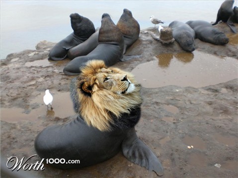 Photoshop Design by Demo2b