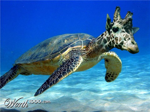 Photoshop Design by AroBeddY