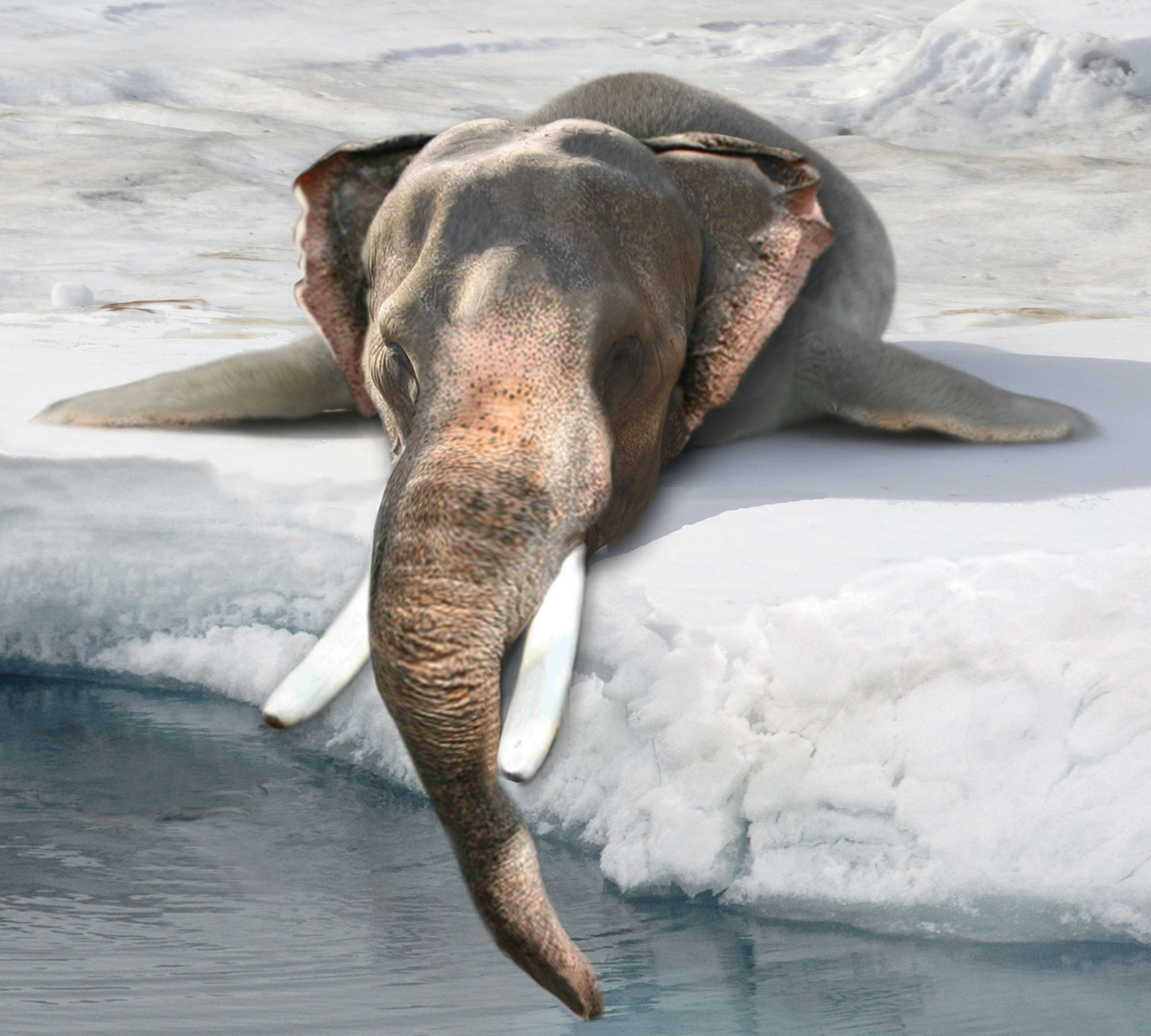 Photoshop-Design von sunny2Day für DesignCrowd (Community Contests) | Design #8949121