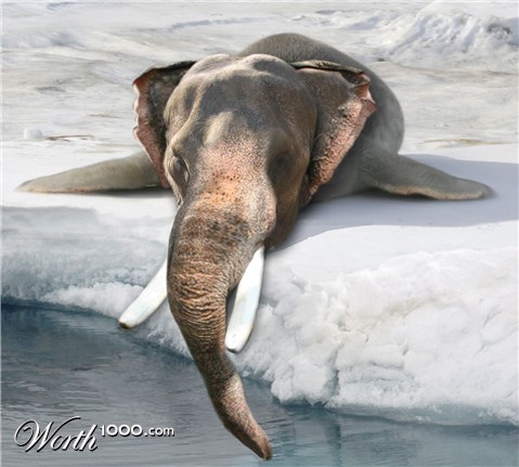 Photoshop Design by sunny2Day