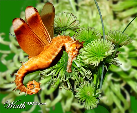 Photoshop Design by reynoldsfam1