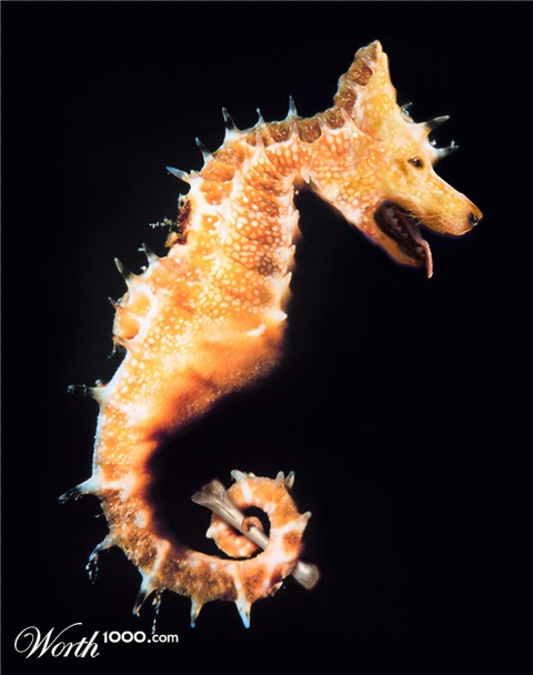 Photoshop Design by Marlena