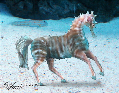 Photoshop Design by Boeschinator