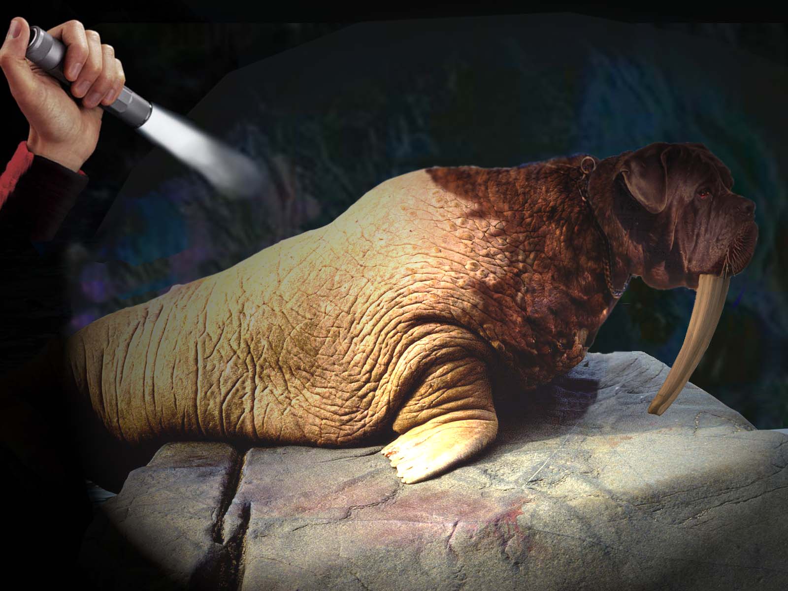 Diseño de Photoshop por fouljack para DesignCrowd (Community Contests) | Diseño #8948955