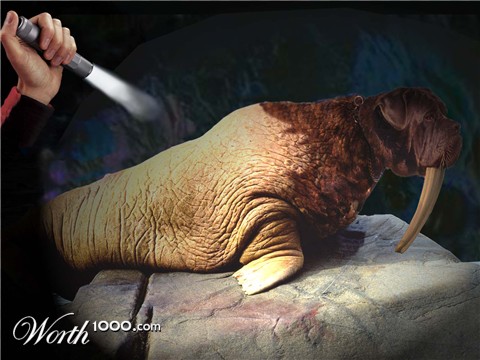 Photoshop Design by fouljack