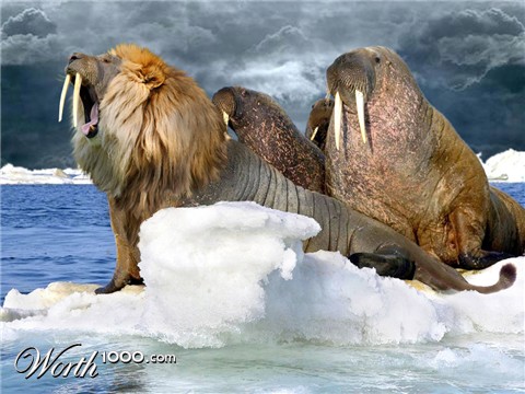 Photoshop Design by Kleston