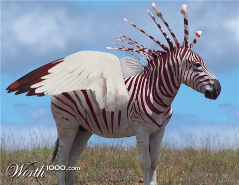 Photoshop Design by GeshaR