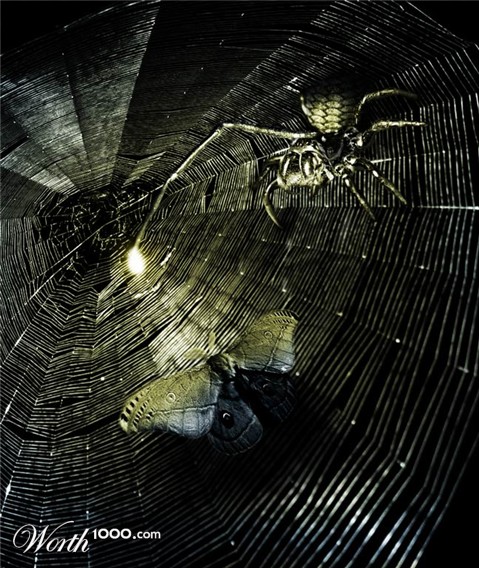 Photoshop Design by Gonzolo