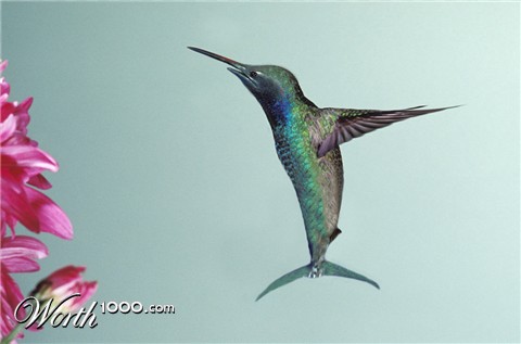 Photoshop Design by jtzag18