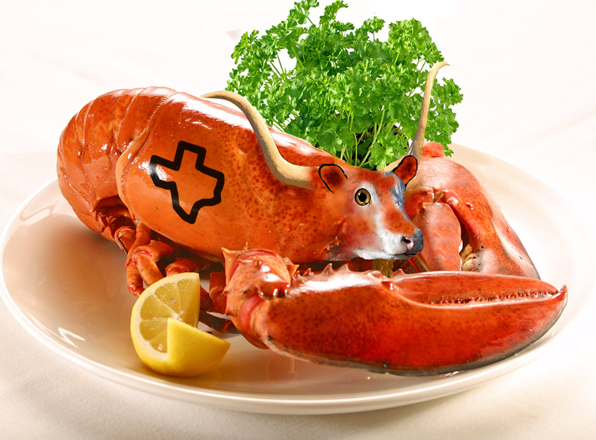 Photoshop Design by Doxieone for DesignCrowd (Community Contests) | Design #8948972