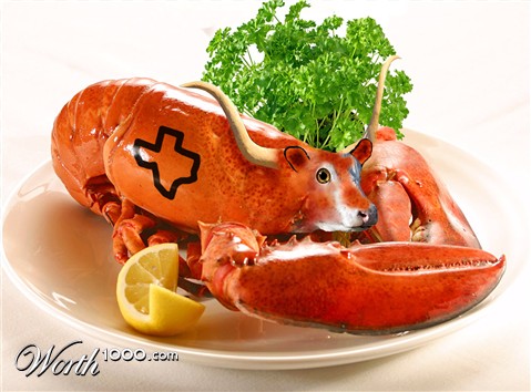 Photoshop Design by Doxieone