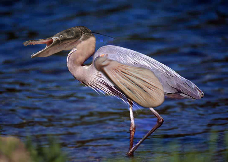 Photoshop Design by janefrog for DesignCrowd (Community Contests) | Design #8949013