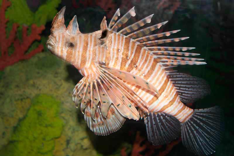 Photoshop Design by Oceanicy for DesignCrowd (Community Contests) | Design #8948980