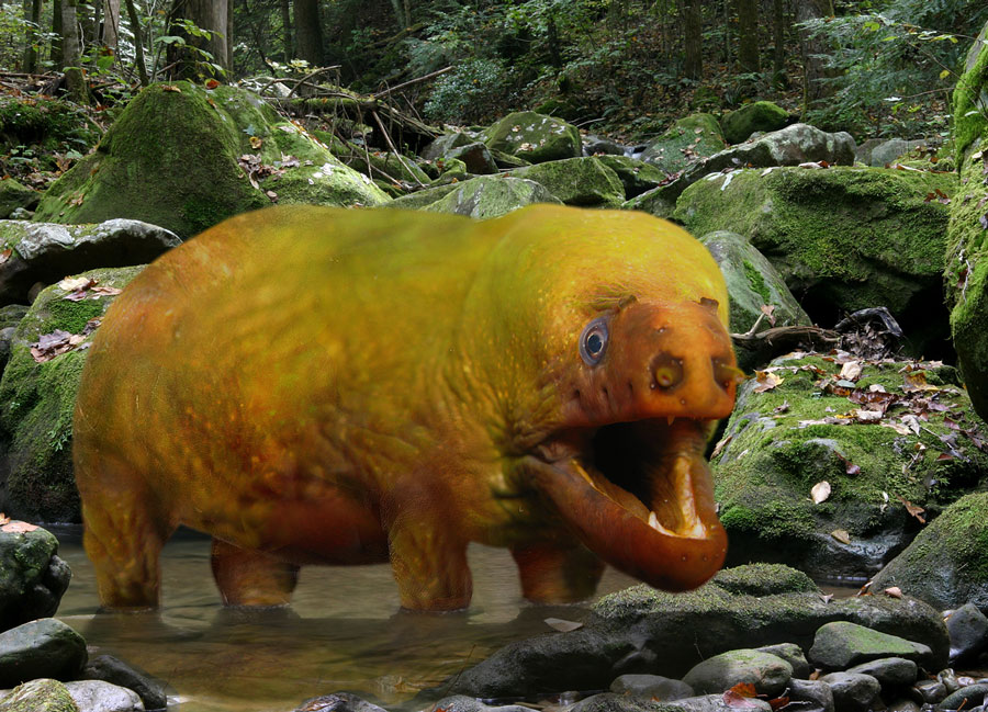 Photoshop Design by snakebit for DesignCrowd (Community Contests) | Design #8948985