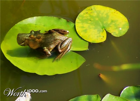 Photoshop Design by rush01