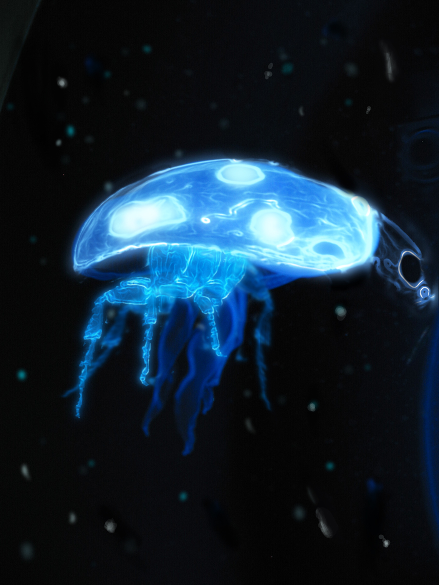 Diseño de Photoshop por CapnHank para DesignCrowd (Community Contests) | Diseño #8949100