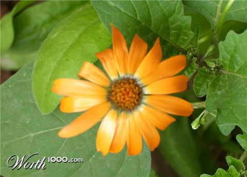 Photography by farahmfa