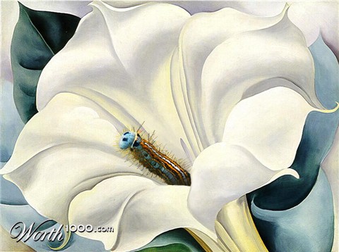 Photoshop Design by Lacenflanl