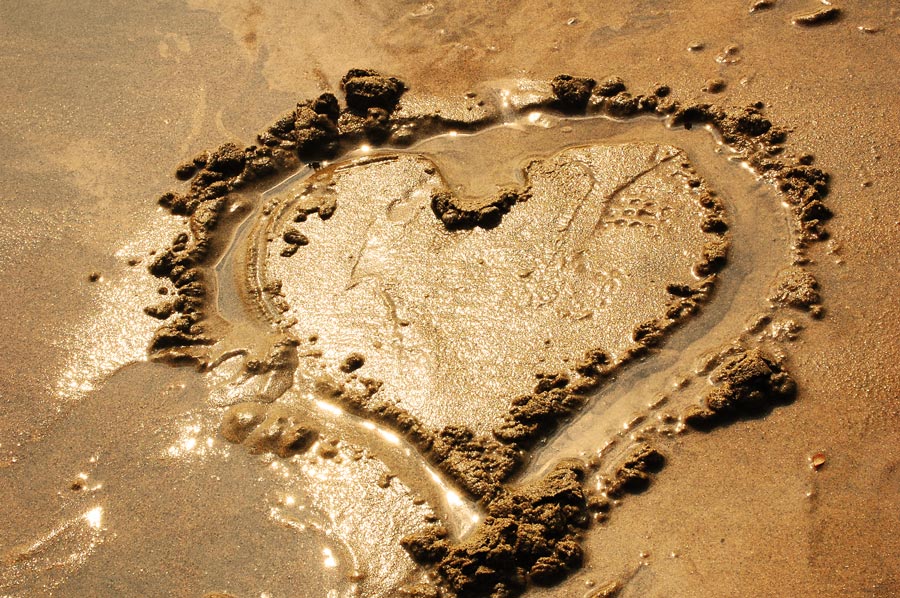 Photography by marymagdalyne for DesignCrowd (Community Contests) | Design #8947638