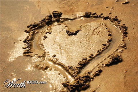 Photography by marymagdalyne